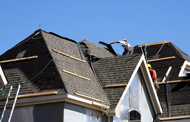 Best Storm Damage Roof Repair  in Elk Rapids, MI
